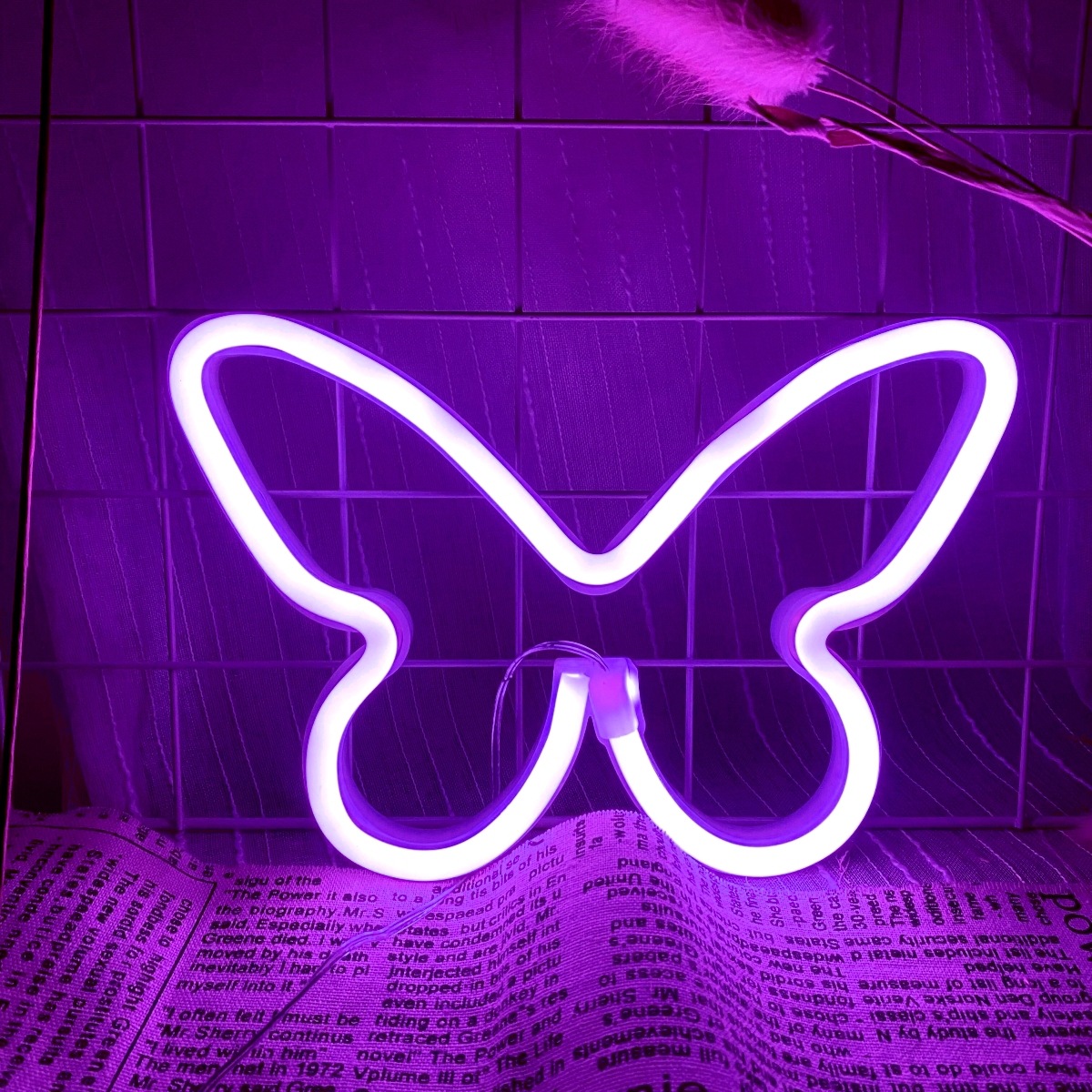 Wedding Power Supply - Luci al neon a farfalla a